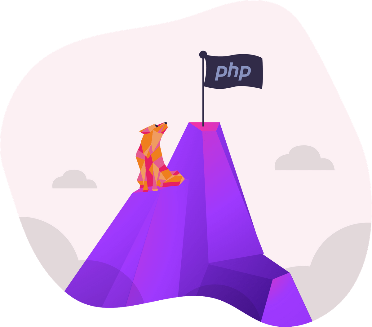 PHP Webshop Hosting Hipex